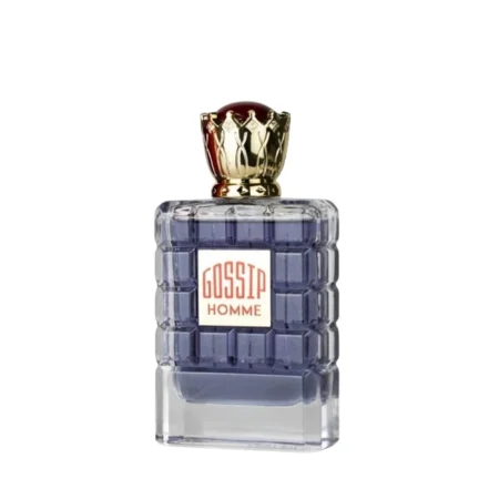 My Perfume MPF GOSSIP HOMME EDP 100ML